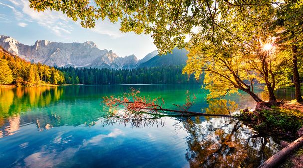 Aan de boder met Slovenië gelegen twee fantastische meer - Fusine Superiaore en Fusine Inferiore. Lichte ochtend scène van Julian Alpen met Mangart piek op de achtergrond, Provincie Udine, Italië. - Foto, afbeelding