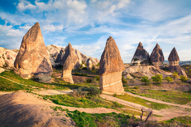 Colorful spring scene in Cappadocia. Evening in the neighborhood of Red Rose valley in April. Cavusin village located, district of Nevsehir Province in the Central Anatolia Region of Turkey, Asia. - Fotoğraf, Görsel