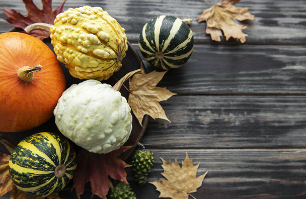 Fall composition with multi color pumpkins on rustic background - Фото, изображение