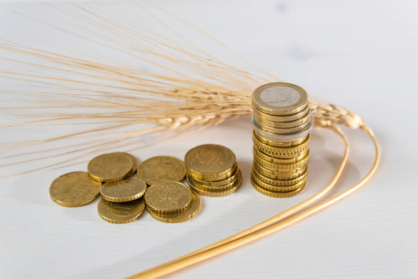 Orelhas de trigo em uma superfície clara, e moedas ao lado dele. Custo de grãos, aumento de preços, preços de grãos.  - Foto, Imagem