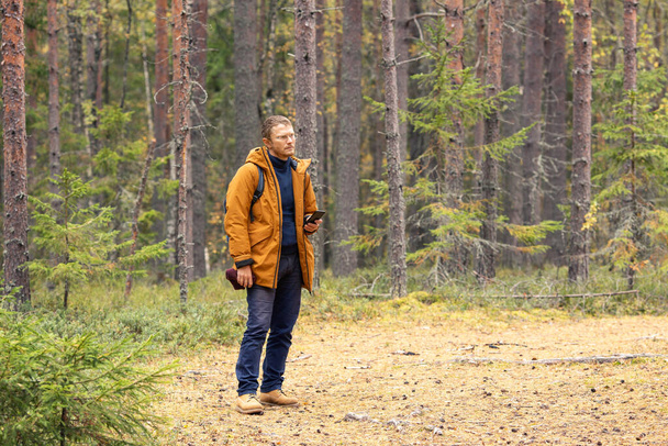 Keski-ikäinen mies älypuhelin havumetsässä syksyllä. Retkeilijä - mies vaeltaa metsässä - Valokuva, kuva