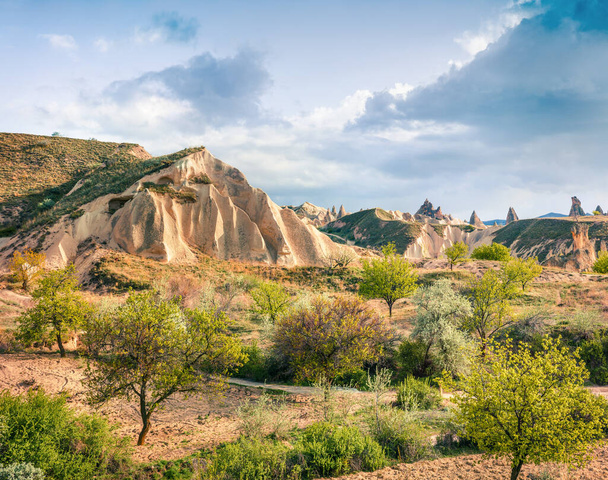 Fantastic spring scene of Cappadocia. Picturesque morning view of of Red Rose valley in April. Cavusin village located, district of Nevsehir, Turkey, Asia. Instagram filter toned - Photo, Image
