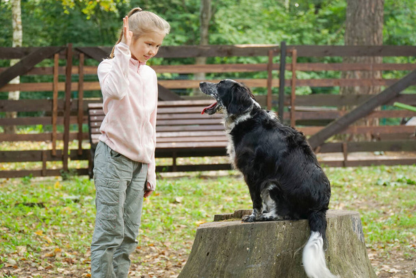 Girl and dog on the playground for training and training - Foto, Bild