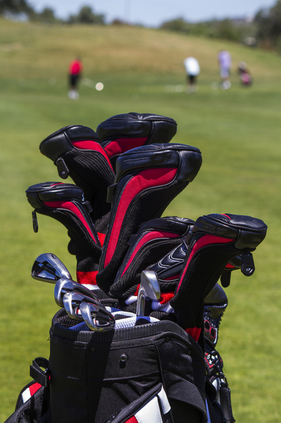 sac professionnel plein de clubs de golf
 - Photo, image