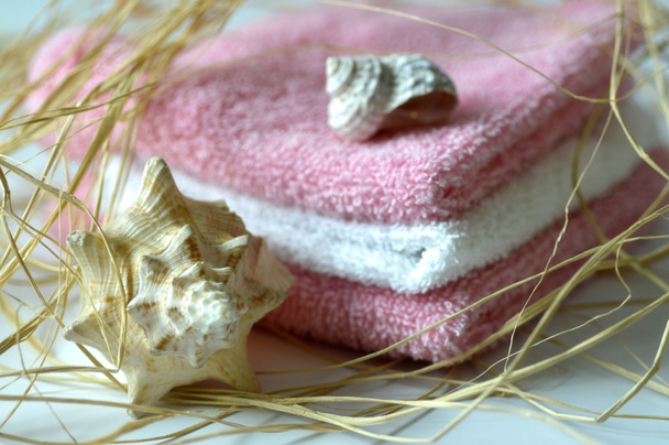 spa salon handdoek shell. - Foto, afbeelding