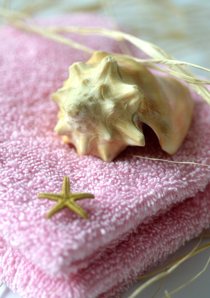 Spa salon towel shell. - Photo, Image