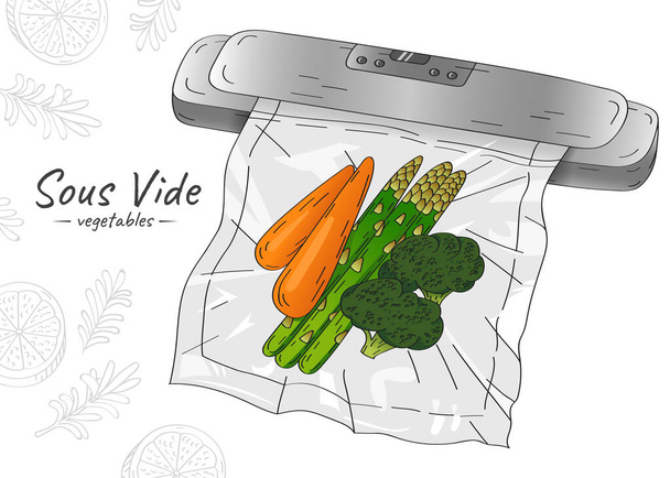 Векторна рука намальована ескізна ілюстрація вакуумного тюленя і овочів у вакуумному пакеті. Sous-Vide Slow Cooking Technology. - Вектор, зображення