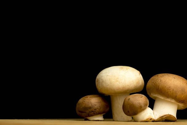 Different mushrooms on a black background, copy space, organic and natural ingredient concept photo - Photo, Image