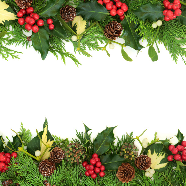 Téli növényzet Napforduló karácsony és újév háttér határ magyal, cédrus ciprus, fagyöngy, fenyőtoboz, borostyán levelek. Környezetbarát, zöld lesz a karácsonyi ökológiai természet koncepciója. Fehér alapon. - Fotó, kép