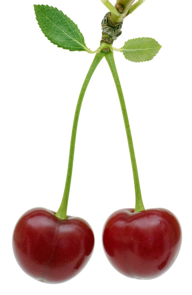 twee cherry vruchten op witte. - Foto, afbeelding