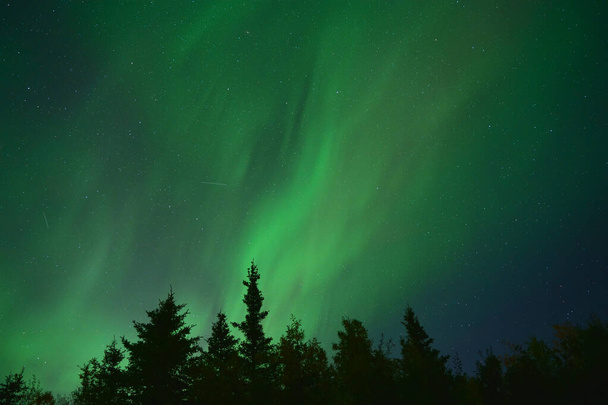 A natural light display of aurora with dynamic patterns of brilliant lights - Фото, зображення