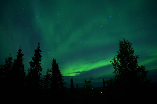 A natural light display of aurora with dynamic patterns - Fotó, kép