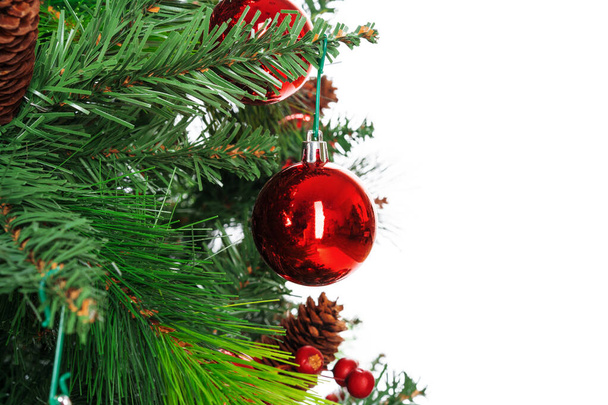 Spruce branches with red baubles against white background - Foto, Imagen