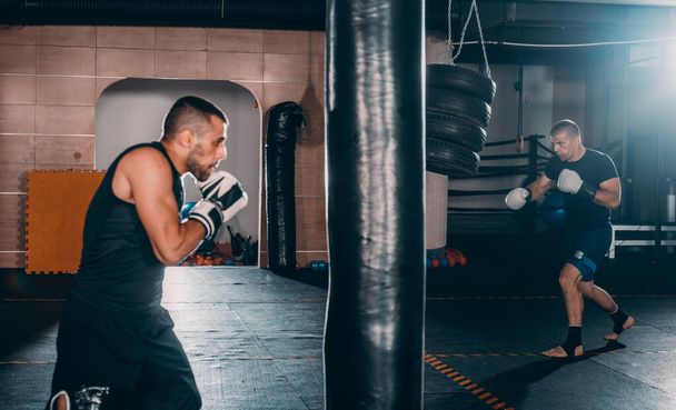 Muscular fighters practicing some punches with punching bag in boxing gloves. The concept of a healthy lifestyle - Photo, Image