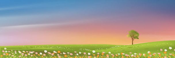 Spring rural landscape with morning sky and single tree on green grass fields,Natural farmland with wild flowers and meadow with colourful sunset in evening,Vector horizon banner on spring or summer  - Vector, Image