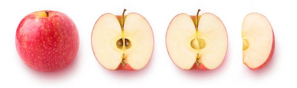 Ολόκληρο κόκκινο μήλο φρούτα, τα μισά και τα κομμάτια στη σειρά, επίπεδη lay, απομονώνονται σε λευκό φόντο - Φωτογραφία, εικόνα