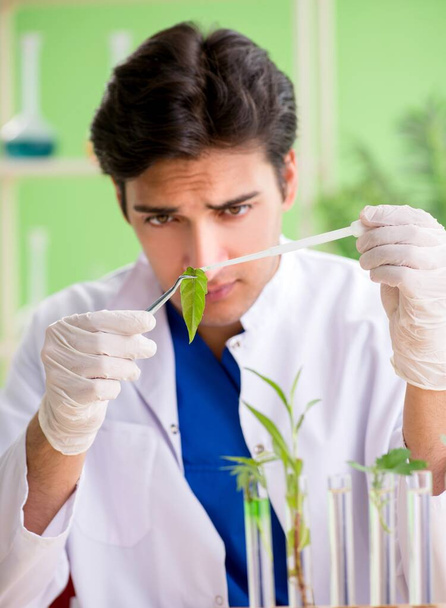 Joven biotecnólogo químico trabajando en laboratorio - Foto, Imagen
