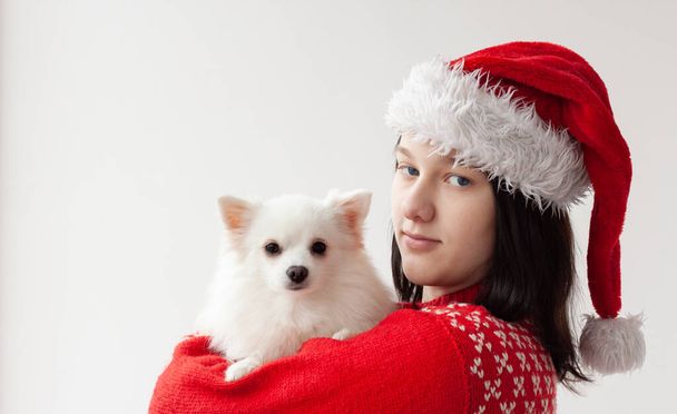A teenage girl in a Santa Claus hat and a red Christmas sweater holds a white pomeranian in her arms. The concept of Christmas and New Year. - Фото, изображение