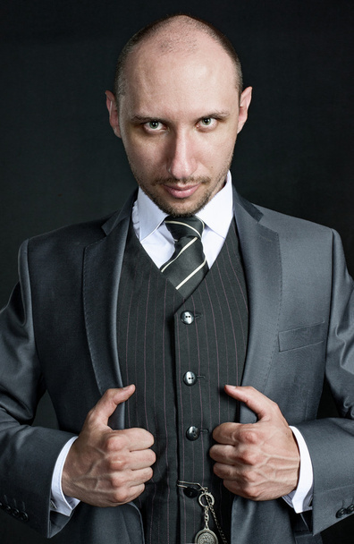 Half-length portrait of bald businessman wearing business suit and tie with arms on lapel - Foto, afbeelding
