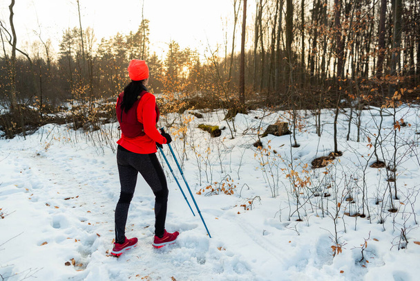 Female Runner Resting in Forest after Nordic Running in Winter. Back View of Sportswoman With Trekking Poles Taking Break From Trail Running in Woods On Cold Winter Day. - Photo, Image