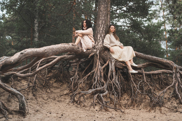 Koncepční fotografie brunetek mezi kořeny lesa. Krásné dívky sedí u kořenů stromů a snít. Dva přátelé chodí do lesa a povídají si. - Fotografie, Obrázek