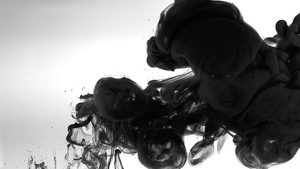 Beautiful abstract background. Chic wallpaper for your desktop. Black watercolor paints in water on a white background. Environmental pollution concept. Black cloud of ink on a white background. - 写真・画像