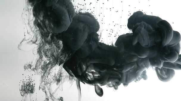 Chic wallpaper for your desktop. Black watercolor paints in water on a white background. Environmental pollution concept. Black cloud of ink on a white background. Beautiful abstract background. - Foto, Imagem