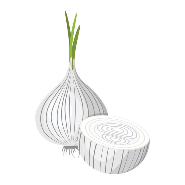 White onion. A sprouted onion and an onion cut in half. Vector illustration isolated on a white background for design and web. - Vettoriali, immagini