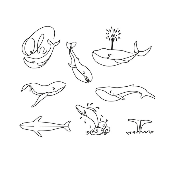 Wale skizzieren Set. Wale Vektor handgezeichnete Illustration. - Vektor, Bild