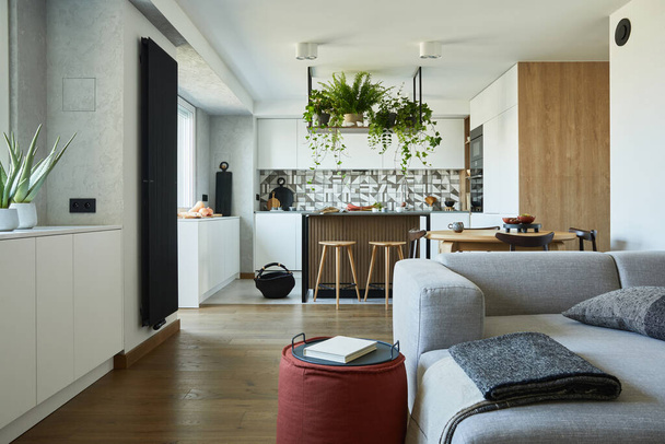 Stylish living room interior design with grey sofa, pouf and personal accessories. Dining space and kitchen on the background. Creative walls with woode pannels. Minimalistic style an plant love concept.  - Fotoğraf, Görsel