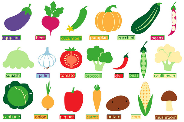 Set of vegetable icon. Collection of vegetables. Cartoon style. Vector illustration. - Vecteur, image
