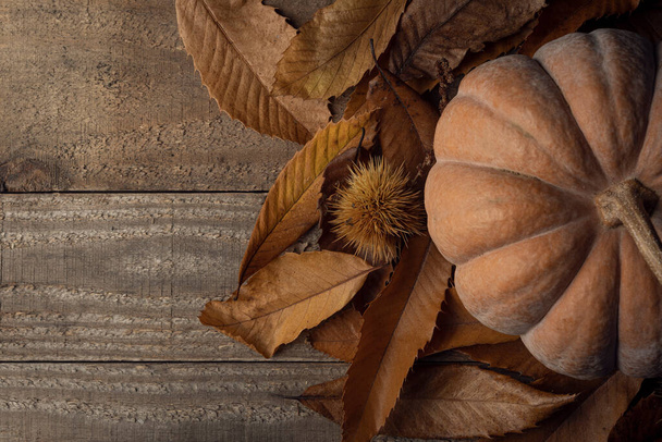 Pumpkin lying on a bed of chestnut leaves on a wooden table - Foto, immagini