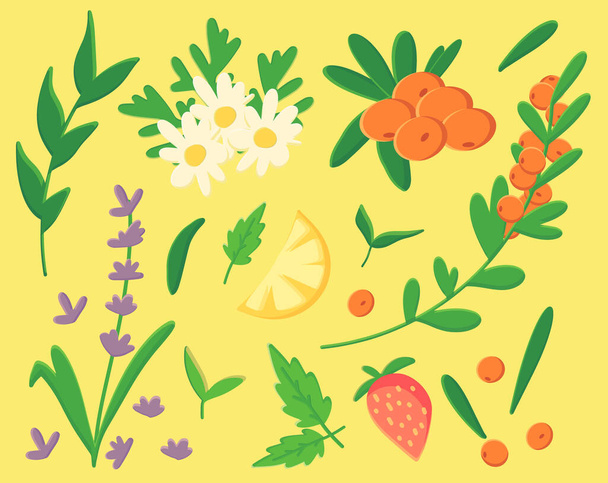 Συλλογή βοτάνων τσαγιού, σετ φαρμακευτικών βοτάνων, χαμομηλιού, λεβάντας, φρούτων και μούρων για τσάι, γρασίδι, κλαδιά, φύλλα πράσινου τσαγιού, λεμόνι, ιπποφαές, φράουλα, κίτρινο φόντο. - Διάνυσμα, εικόνα