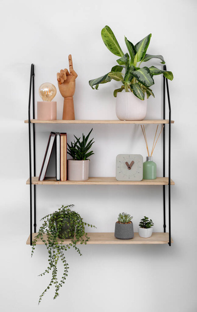 Shelving unit with beautiful houseplants, book and decor on light wall - Photo, image