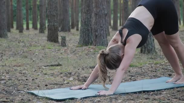 flexible delgado hembra practica yoga, realiza shvanasana en el soleado bosque de pinos - Imágenes, Vídeo