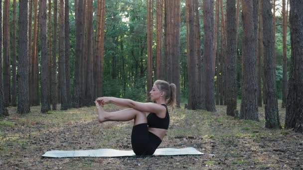 elastyczne kobiety praktykuje jogę, wykonuje ubhaya padangusthasana w sosnowym lesie - Materiał filmowy, wideo