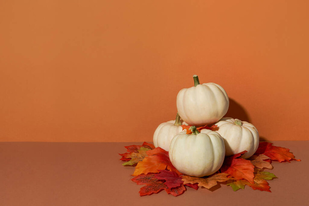 Pumpkins with Autumn leaves on orange background. Thanksgiving day concept. copy space - Foto, Imagen