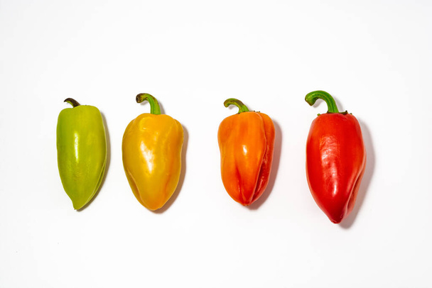 Four multi-colored ripen sweet peppers on a white background. - Fotografie, Obrázek