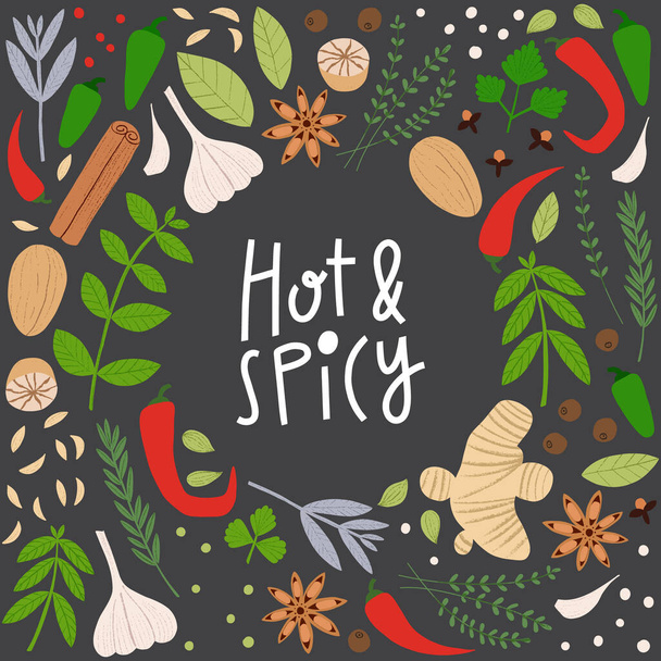 Spices and herbs frame. Hot and Spicy lettering with flat hand drawn cooking ingredients. - Vector, Image