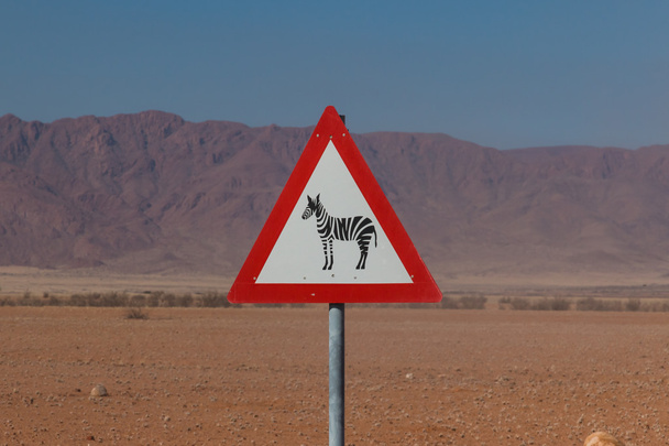 Cruce de cebra en África
 - Foto, Imagen