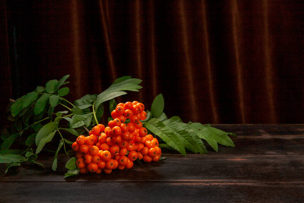 Rowan branch with berries on dark wooden background and textile with copy space - Fotoğraf, Görsel
