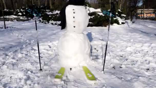 сніговик у лижному спорядженні
 - Кадри, відео