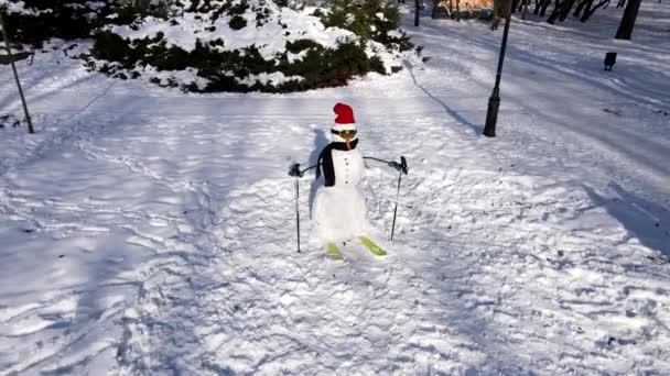 сніговик у лижному спорядженні
 - Кадри, відео