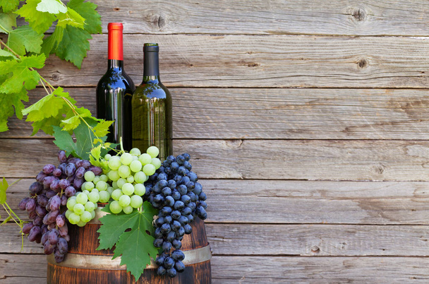 Various colorful grapes and wine bottles on wine barrel on outdoor sunny garden in front of wooden wall with copy space - Fotó, kép