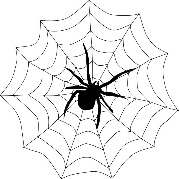 Vector silhouette of Spider on white background - Διάνυσμα, εικόνα
