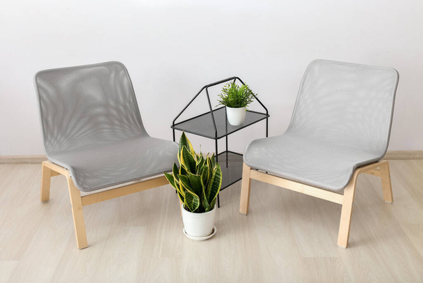Stijlvolle fauteuils en kamerplanten bij lichte wand - Foto, afbeelding