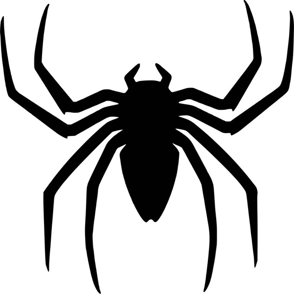Vector silhouette of Spider on white background - Vector, Image