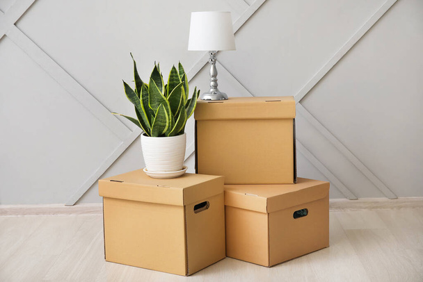 Boxes with clothes, houseplant and lamp on wooden floor near light background - Φωτογραφία, εικόνα