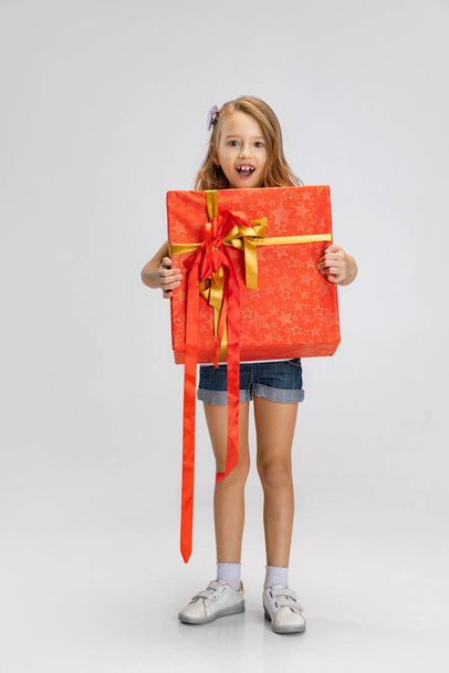 Pretty caucasian little girls portrait standing with huge gift, holiday box isolated on gray studio background with copyspace for ad - Фото, зображення