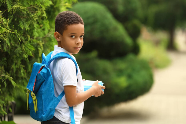 Schattig klein jongetje met school lunch doos buiten - Foto, afbeelding